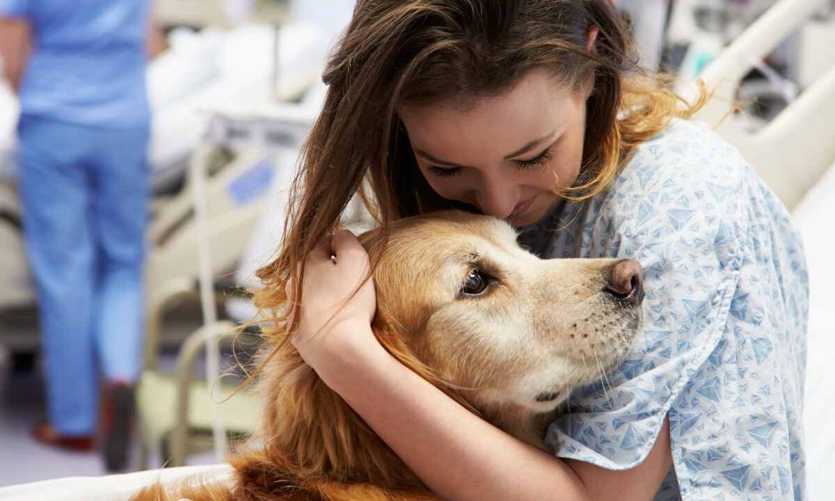 The Multifaceted Benefits of Therapy Dogs in Healthcare